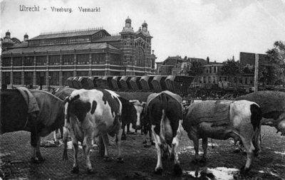 2689 Gezicht op het Vredenburg te Utrecht tijdens een veemarkt met op de achtergrond de Fruithal.
